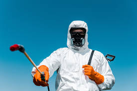 Best Residential Pest Control  in Westminster, CO